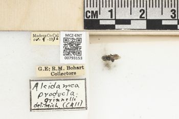 Media type: image;   Entomology 793153 Aspect: Labels